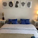 B&B Ambiorix Birch House