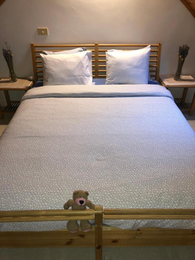 Ambiorix Birch House Bed & Breakfast *